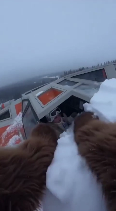 Sora video after watermark removal - example 3 clean result